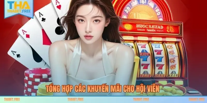 Tổng hợp các khuyến mãi cho hội viên